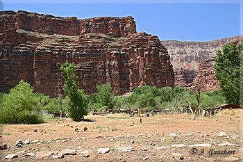 Anfang des Dorfes Supai